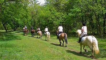 Tenuta Luogo Marchese Escursioni a cavallo