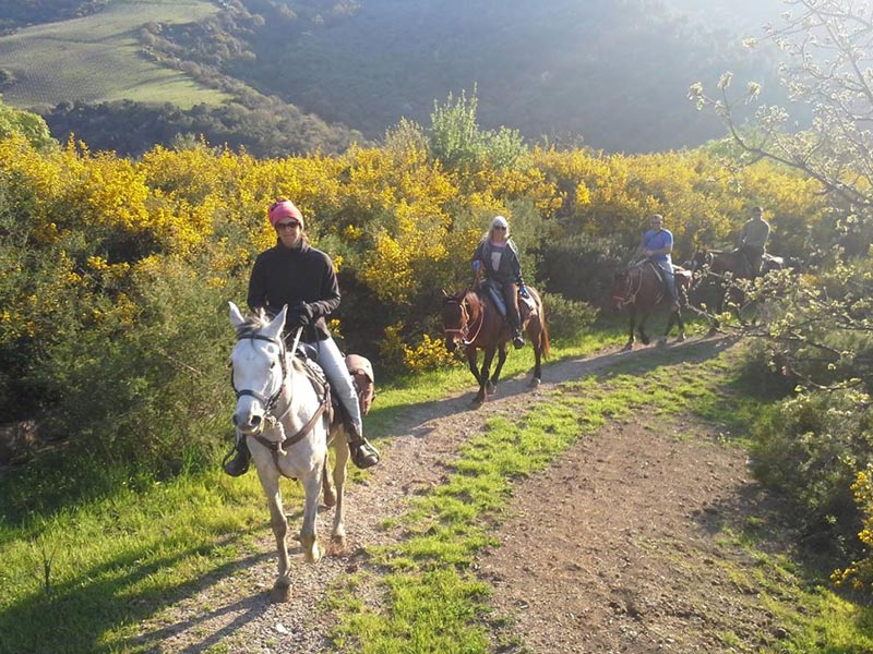 Tenuta Luogo Marchese Zurrica 