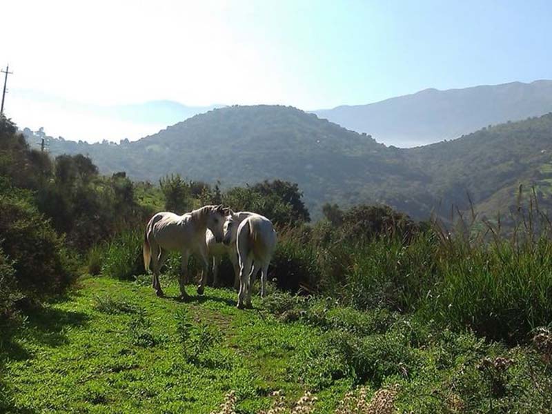 Tenuta Luogo Marchese Alte Madonie